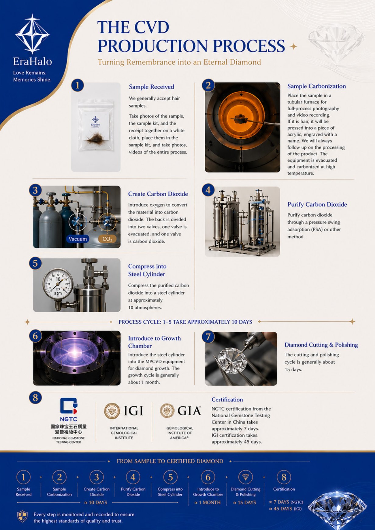 CVD process